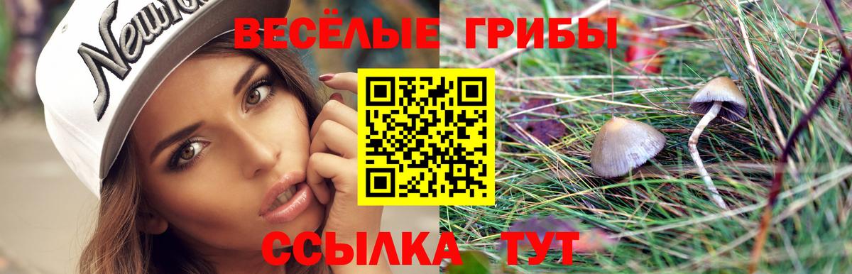 Галлюциногенные грибы GOLDEN TEACHER Мариинск
